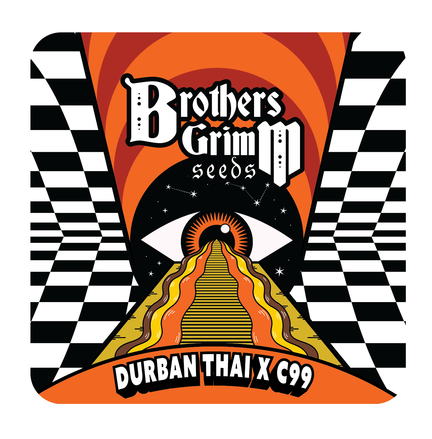 Durban Thai x C99 – Feminized Seeds