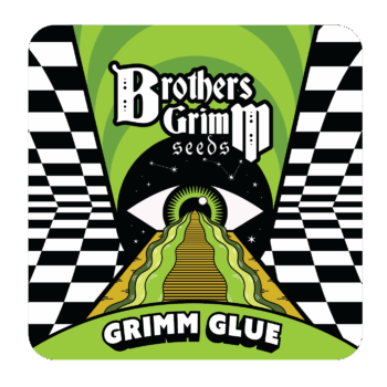 Grimm Glue – Feminized Seeds