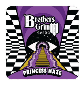 Princess Haze Seeds – Regular Seeds | Buy Princess Haze Regs