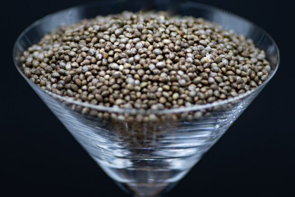 feminized seeds legality