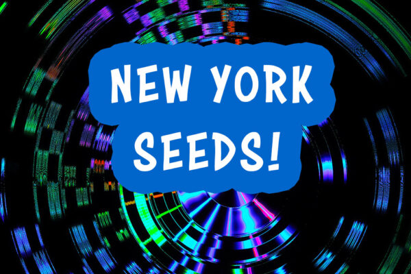 New Feminized Seeds New York