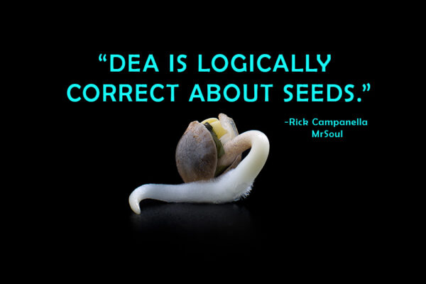 DEA is logically correct about Seeds