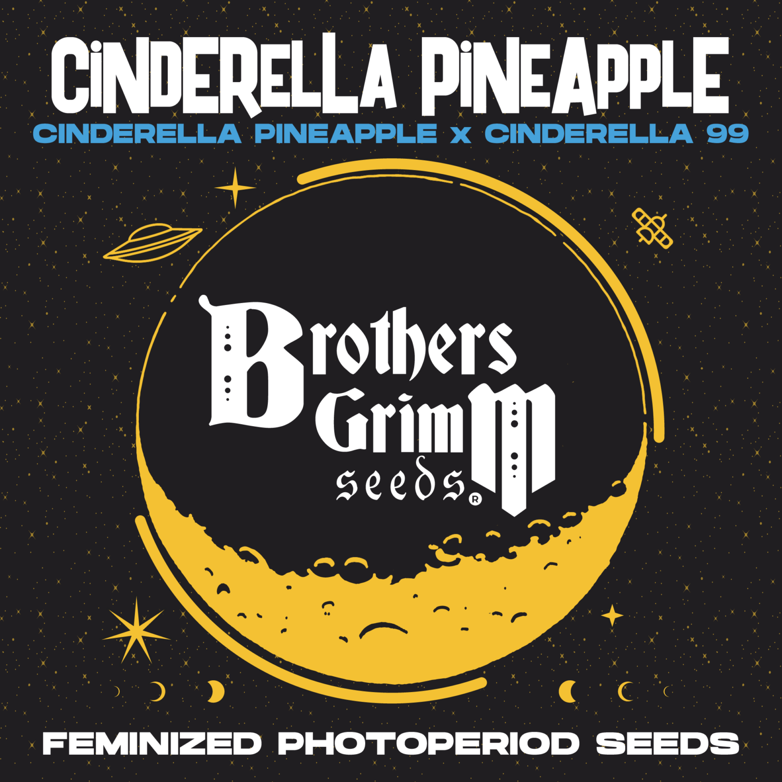 Cinderella Pineapple