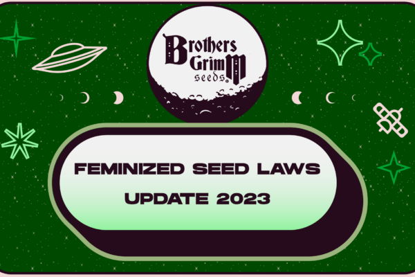 Feminized Seed Laws Update 2023