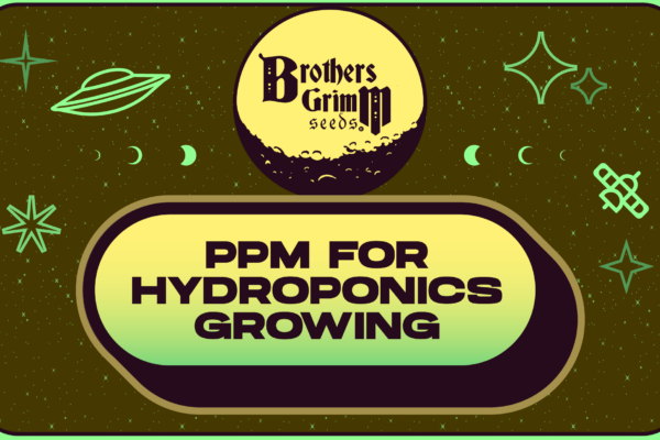 PPM for Hydroponics