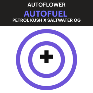 autofuel autoflower