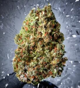 Saltwater OG strain by Purple City Genetics at the Brothers Grimm Seeds seed bank