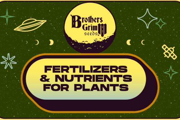 Fertilizers and Nutrients for Cannabis