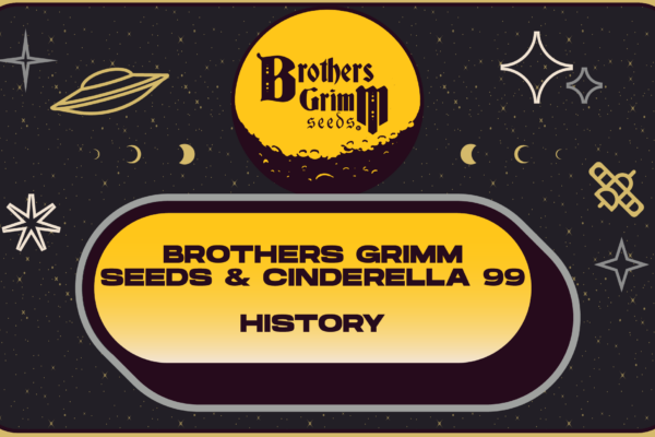 Cinderella 99 History