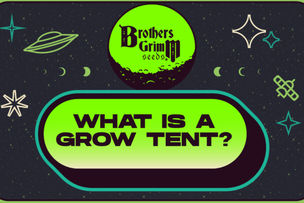 What is a Grow Tent