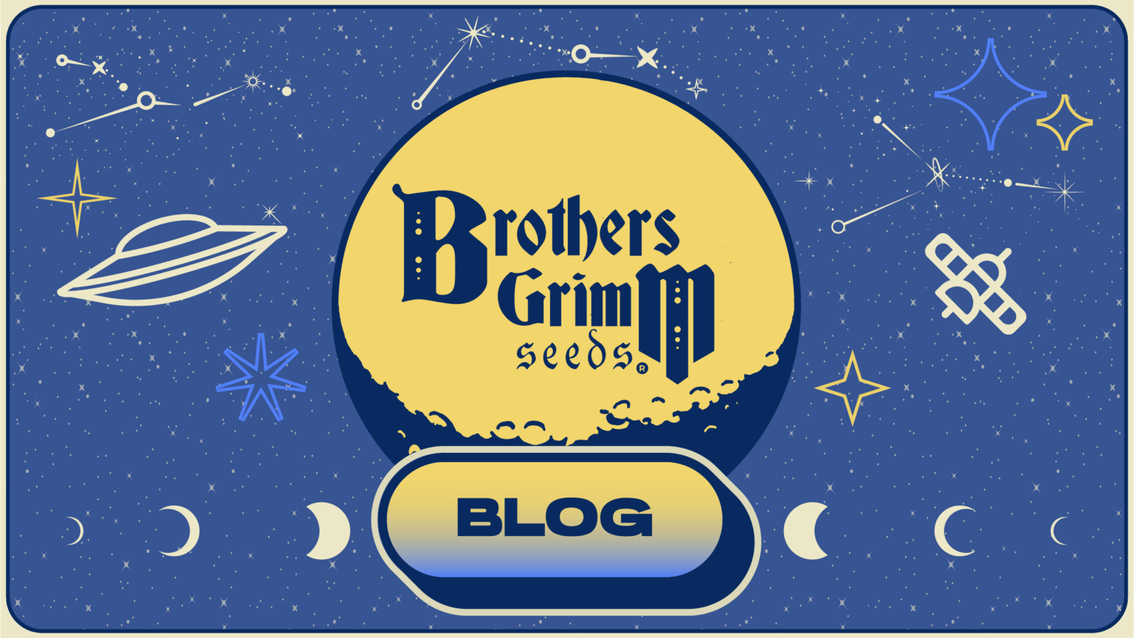 Brothers Grimm Seeds Blog