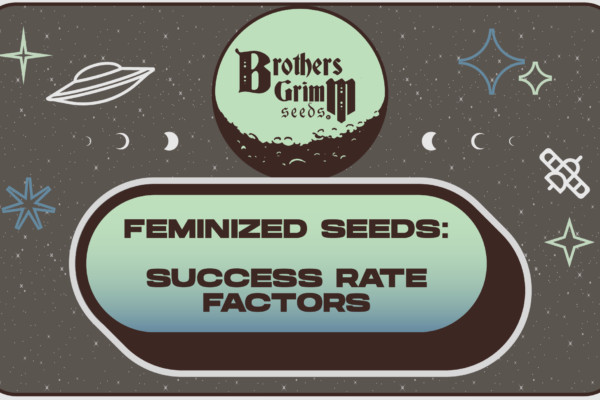 Feminized Seeds