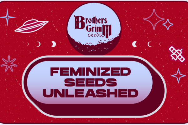 Feminized Seeds