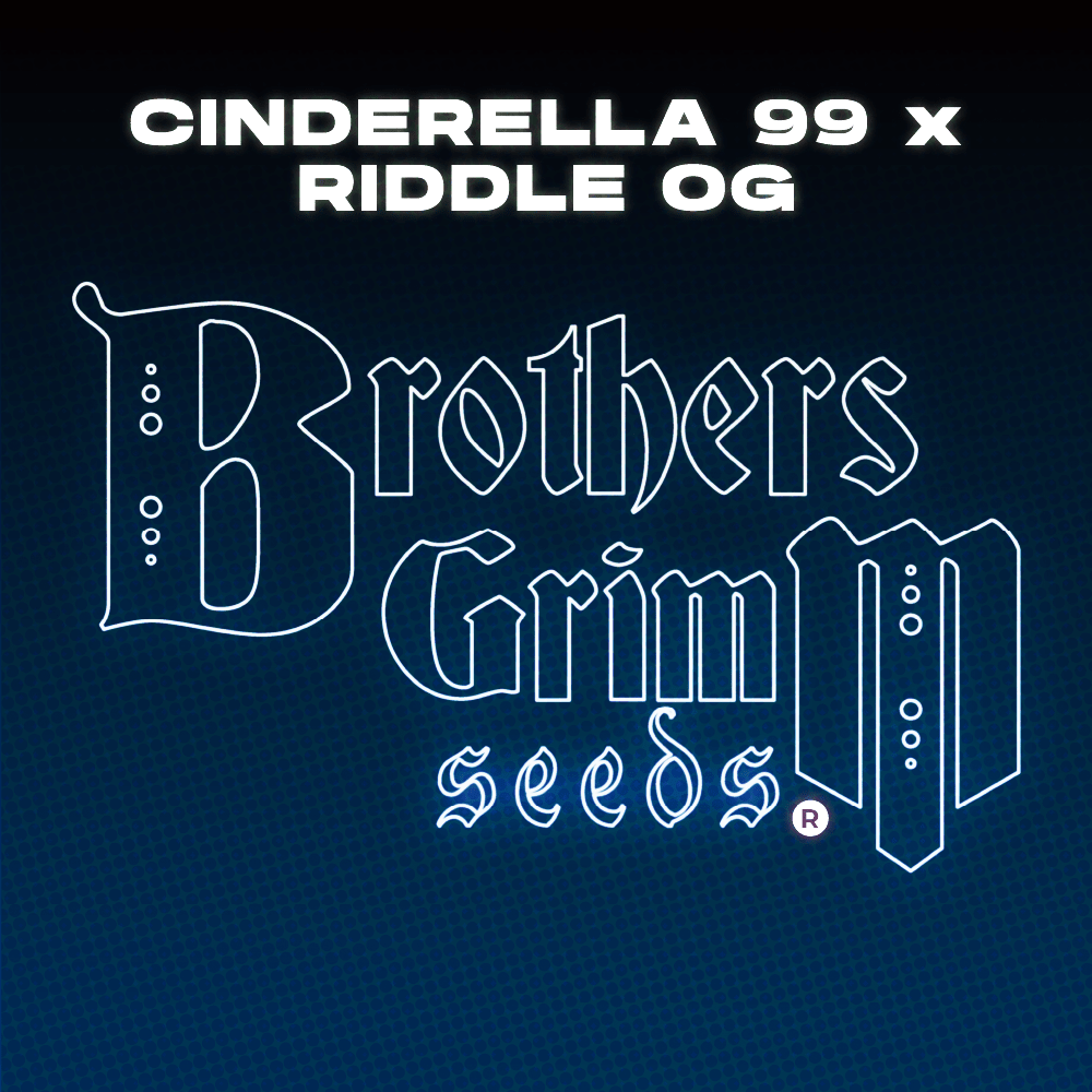 Cinderella 99 x Riddle OG