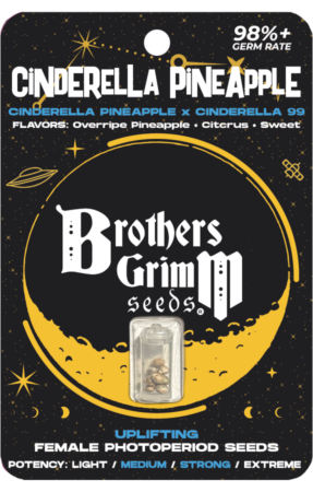 Cinderella Pineapple