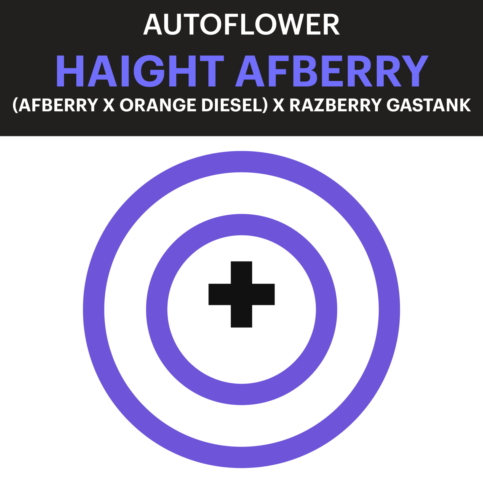 Purple City Genetics Haight Afberry