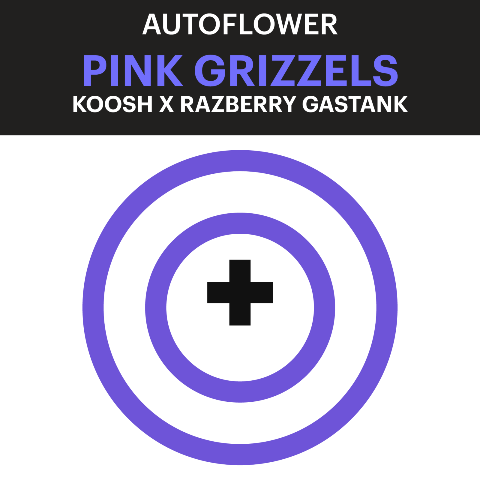 Purple City Genetics Pink Grizzels