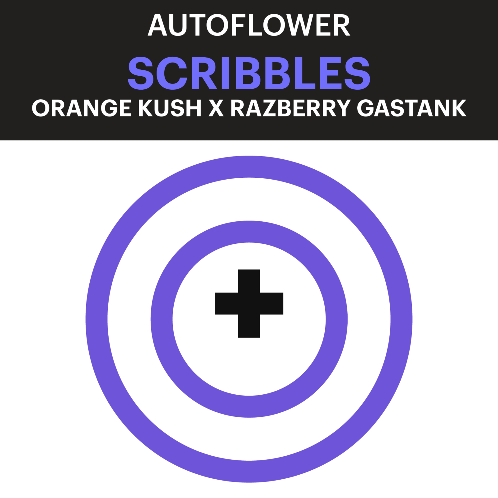 Purple City Genetics Scribbles