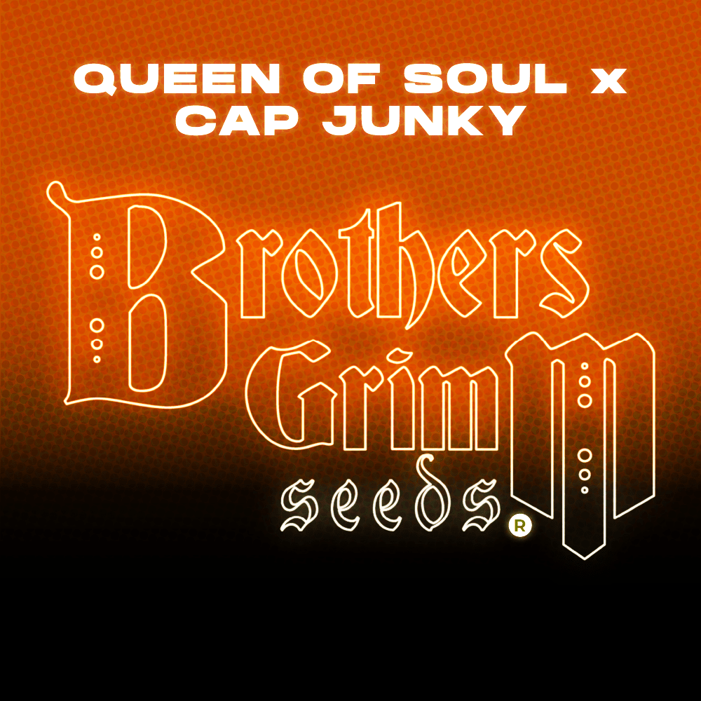 Queen Of Soul x Cap Junky