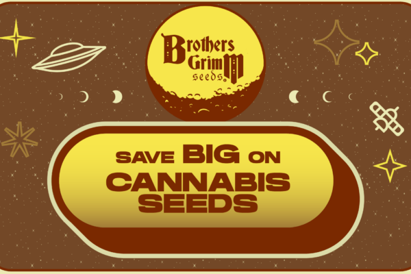 Cannabis Seeds Savings