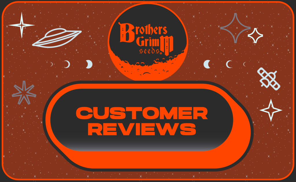 Brothers Grimm Seeds Reviews