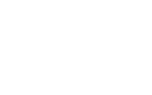 Brothers Grimm Seeds White Logo