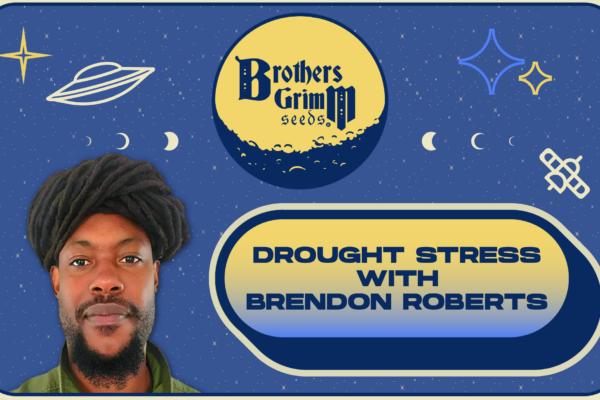 Cannabis Drought Stress
