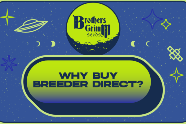 Breeder Direct Seeds