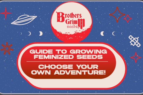 Feminized Grow Guide