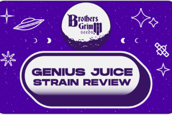 Genius Juice Reviews