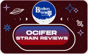 Ocifer Strain Reviews