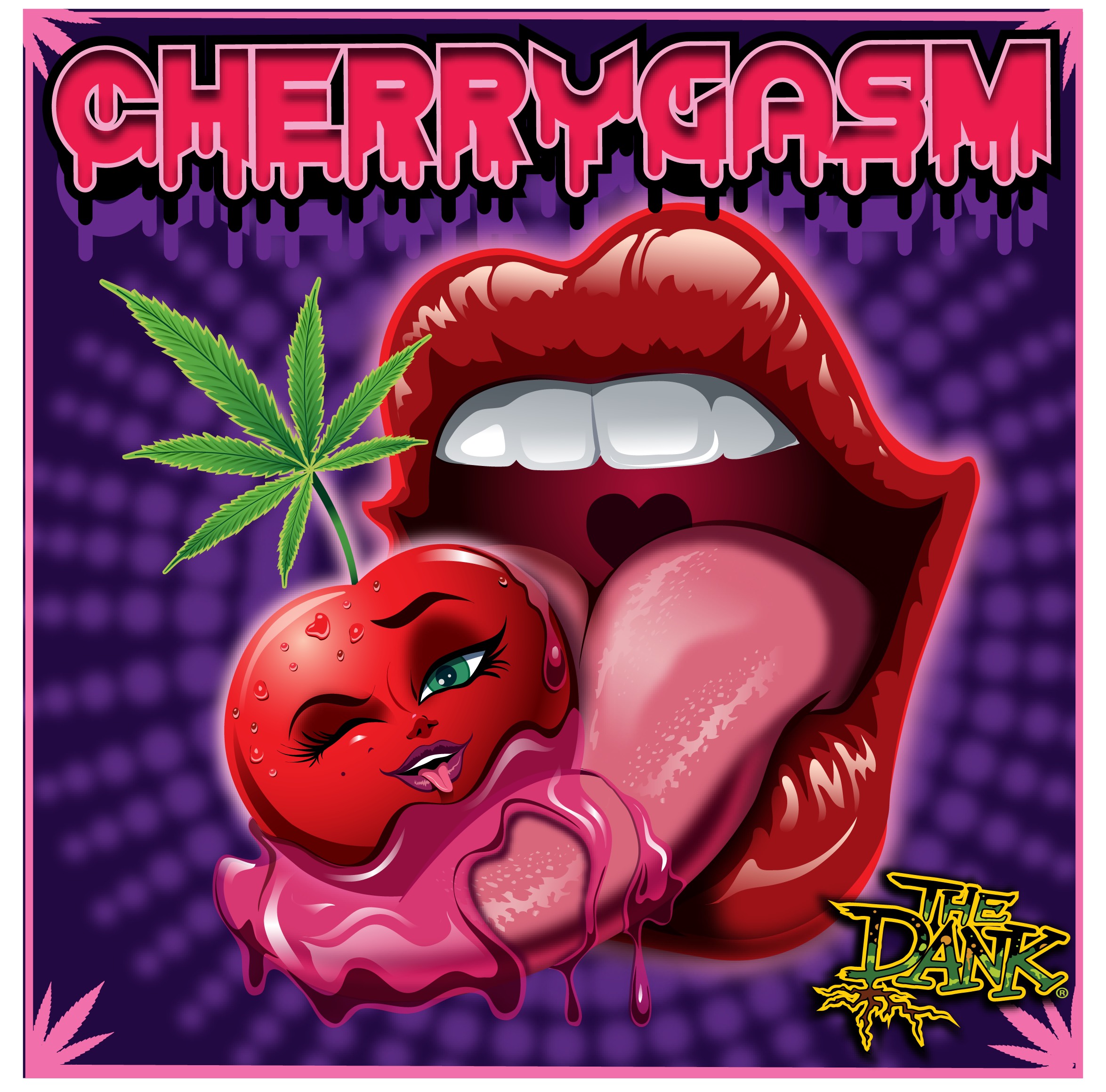 CherryGasm F2 Regular Seeds (5 seed pack)