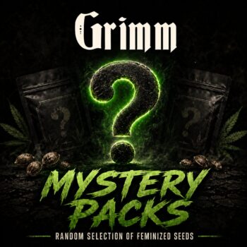 Mystery Seeds Feminized Grab Bag (9 seed pack)