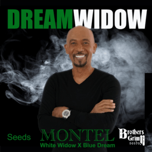 Montels Dream Widow Seeds