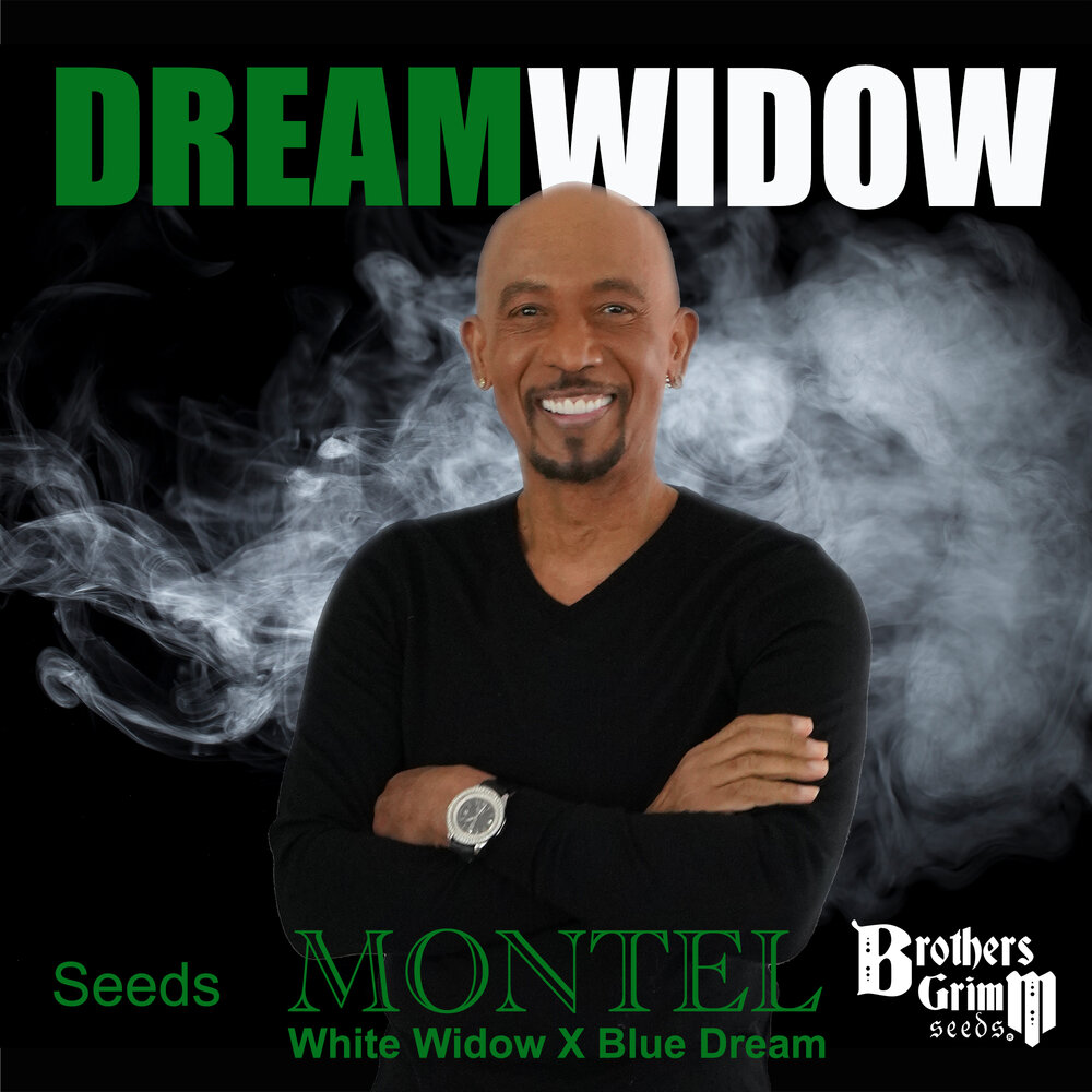 Montel's Dream Widow (9 seed pack)