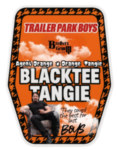 Black Tee Tangie Sticker Promo