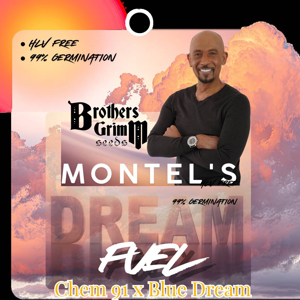 Montel's Dream Fuel (9 seed pack)