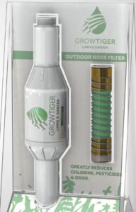 Grow Tiger Photo