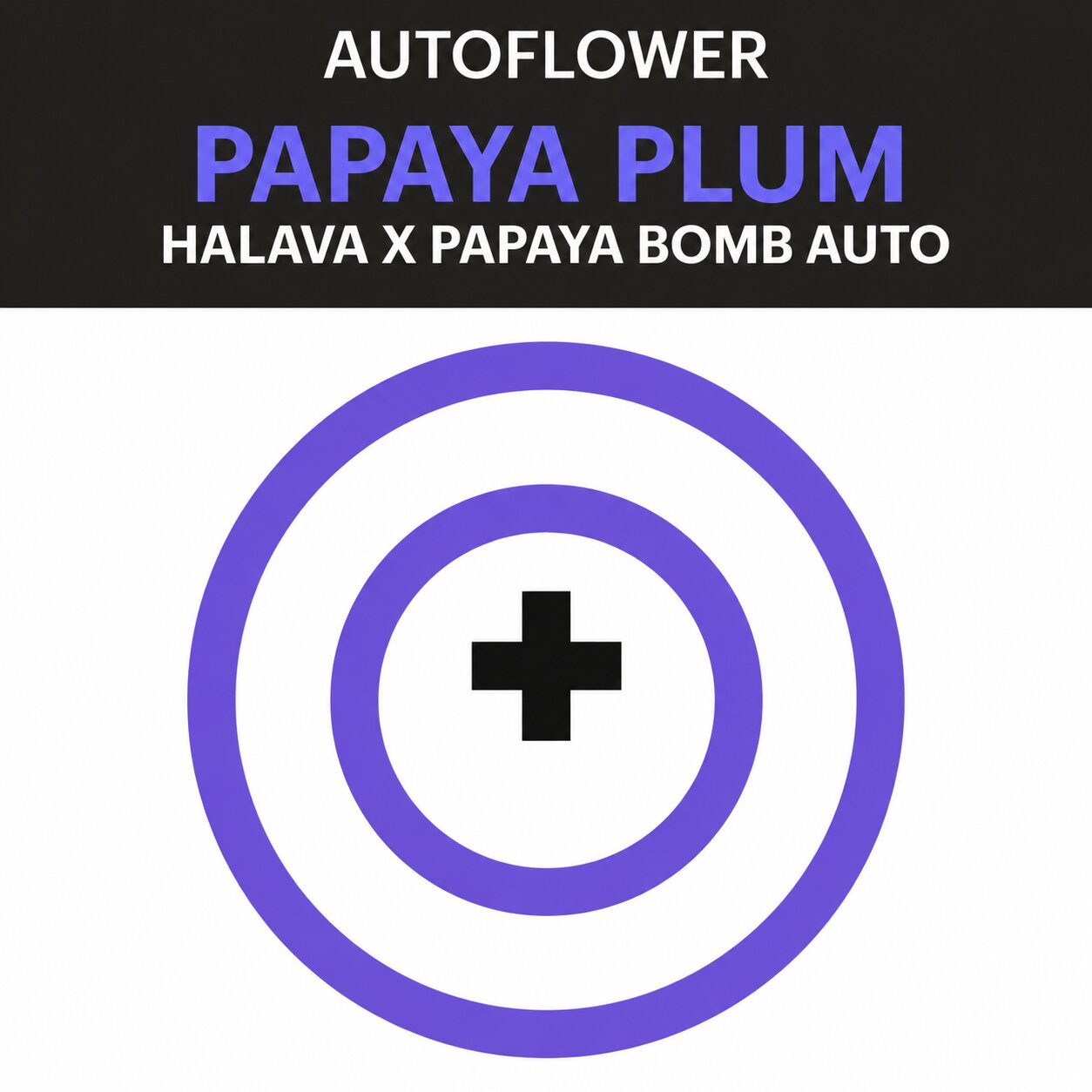 Papaya Plum Autoflower Seeds (3 seed pack)