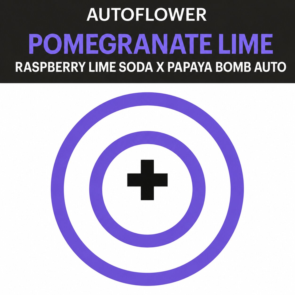 Pomegranate Lime Autoflower Seeds (3 seed pack)
