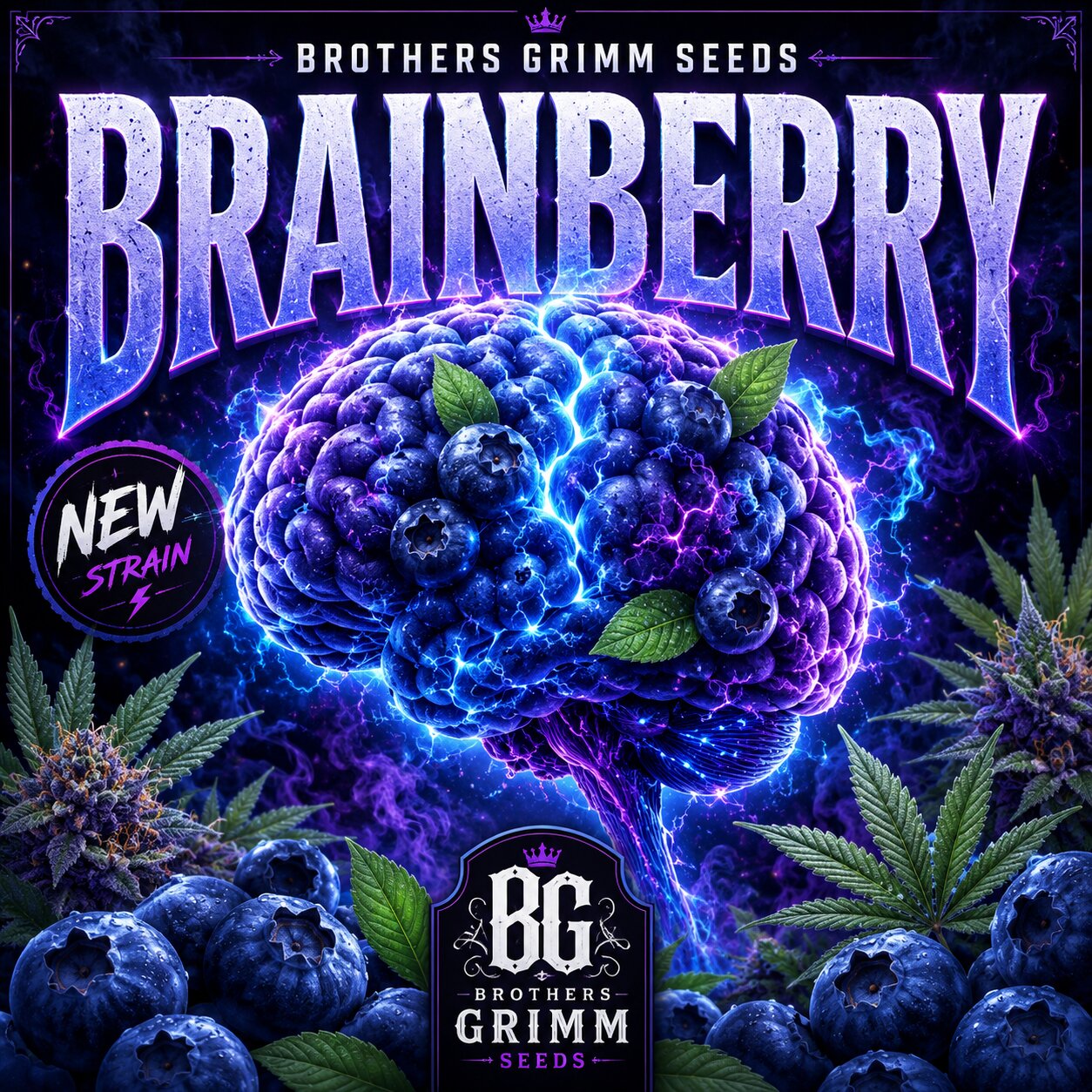 Brainberry Feminized Seeds (9 Seed Pack)