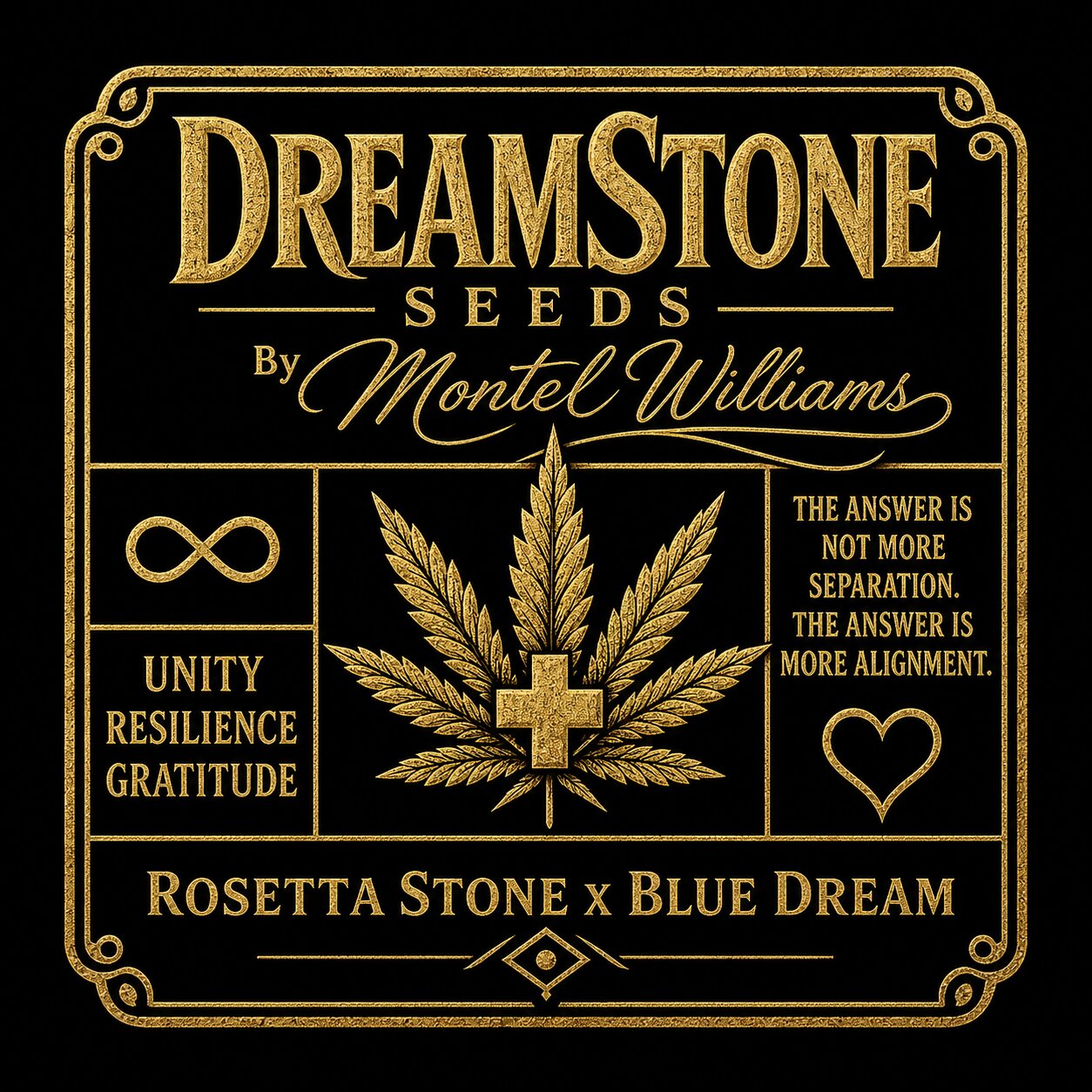 DreamStone by Montel (9 Seed Pack)